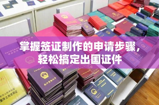 平潭掌握签证制作的申请步骤，轻松搞定出国证件