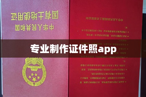 陵水专业制作证件照app