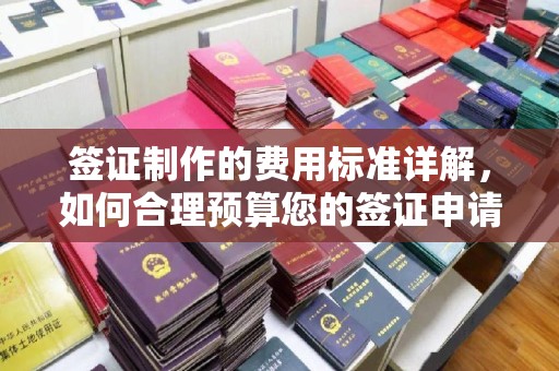 海棠签证制作的费用标准详解，如何合理预算您的签证申请成本